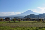 DSC_4681es.jpg