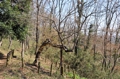 DSC_5007es.jpg