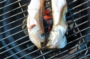 DSCN1350es.jpg