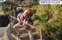 DSCN3321es.jpg