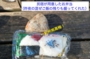 DSCN3295es.jpg