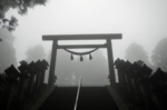 DSCN3461es.jpg