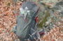 DSCN3683es.jpg
