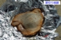 DSCN3873es.jpg