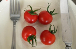 DSCN4892es.jpg