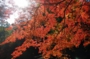 DSCN6302es.jpg
