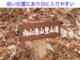 DSCN7068es.jpg