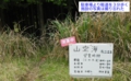 DSCN7652es.jpg