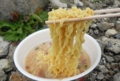 DSCN8461es.jpg