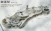 DSCN9872es.jpg