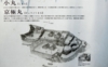DSCN9890es.jpg