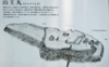 DSCN9896es.jpg