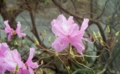 DSCN0283es.jpg