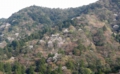 DSCN0268es.jpg