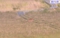 DSCN1158.JPG
