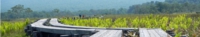 DSCN1360es.jpg