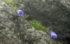 DSCN2126es.jpg