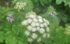 DSCN2133es.jpg
