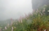 DSCN2154es.jpg
