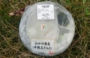 DSCN2497es.jpg