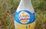 DSCN2496es.jpg