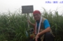 DSCN2448es.jpg