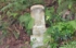 DSCN2937es.jpg