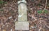 DSCN2939es.jpg