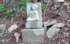 DSCN2940es.jpg