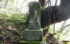 DSCN2943es.jpg