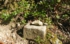 DSCN2946es.jpg