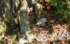 DSCN2956es.jpg