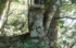 DSCN2957es.jpg