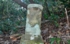 DSCN2961es.jpg