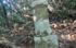 DSCN2965es.jpg