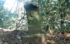 DSCN2979es.jpg