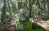 DSCN2970es.jpg