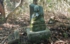 DSCN2973es.jpg