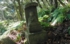 DSCN2976es.jpg