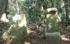 DSCN2978es.jpg