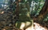 DSCN2985es.jpg