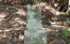 DSCN2983es.jpg