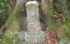 DSCN2988es.jpg