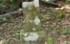 DSCN2989es.jpg