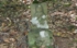 DSCN2992es.jpg