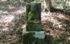 DSCN2997es.jpg