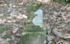 DSCN2998es.jpg
