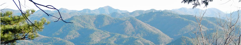 DSCN3611es.jpg