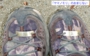 DSCN3639es.jpg